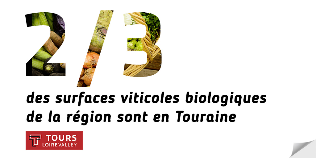 [⅔ des surfaces viticoles biologiques de la région sont en #Touraine]

Les #viticulteurs tourangeaux sont les pionniers du #bio : marchés, vente à la #ferme, restaurants, caves à #vin, consommateurs, transformateurs ; pour une alimentation de qualité. 🥕🥕🍏
#fierdemaTouraine