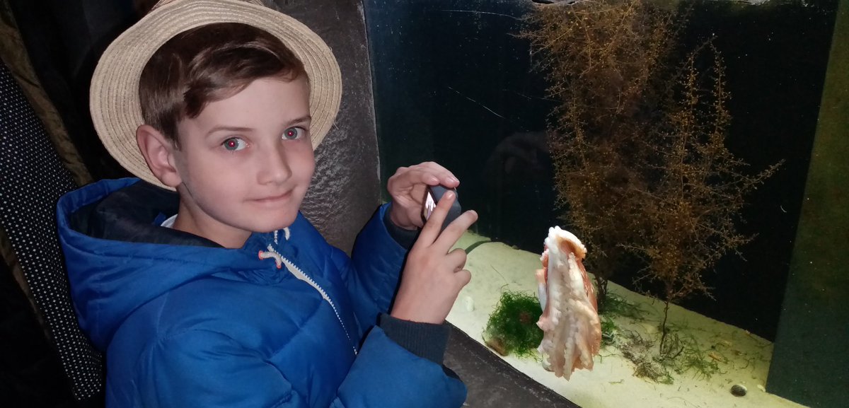 deehberm's tweet photo. Thanks so much @GreenSchoolsIre Danny is having great fun with the two cameras you sent him. A fantastic prize to have received . #ConserveWater #GScompetition https://t.co/W6L4N6mOoC