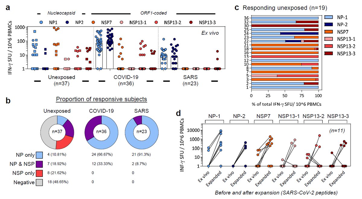 1) Infection with  #SARSCoV2 induces virus-specific T cells2) Patients recovered from  #SARS 17 years ago still possess virus-specific memory T cells displaying cross-reactivity to  #SARSCoV2(2/5)