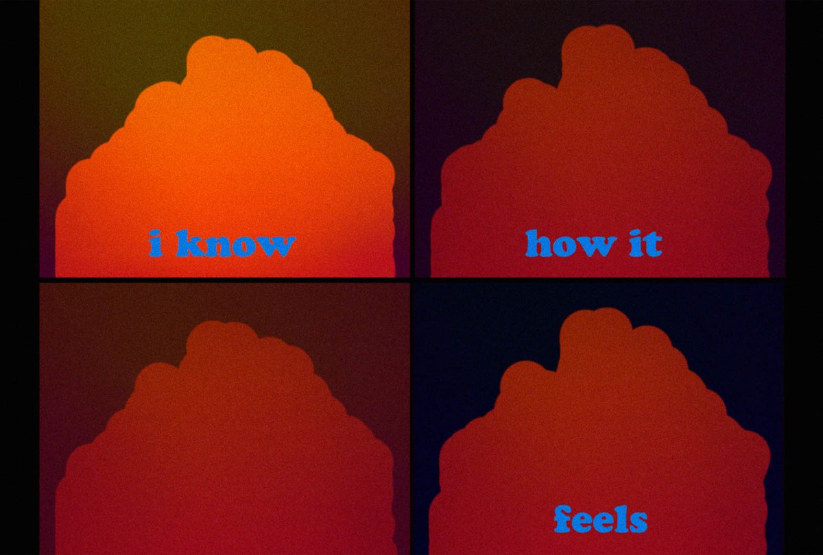 Towner Eastbourne tweet media