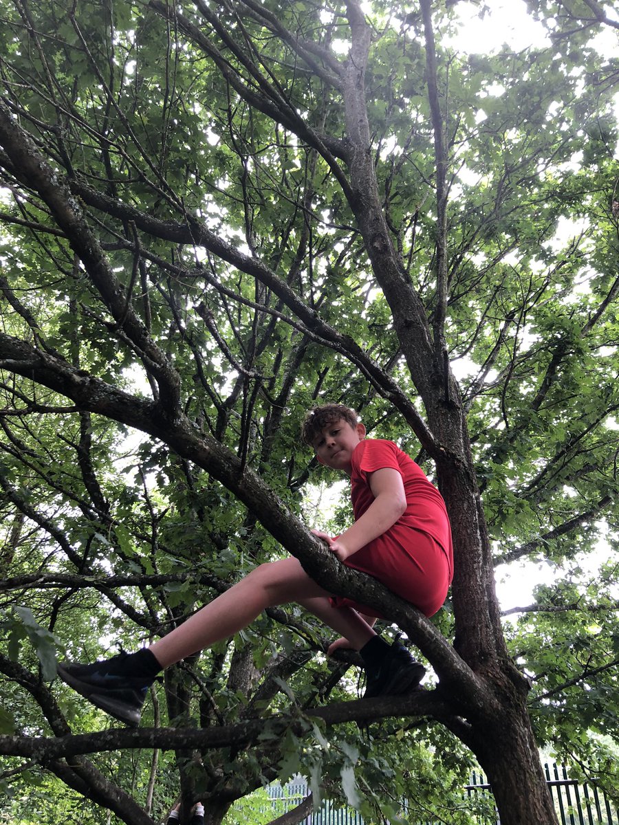 CoedEvaYear5's tweet photo. More from forest school https://t.co/LTU40NE6aN
