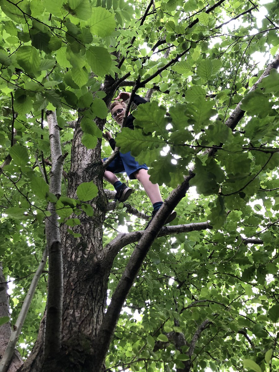 CoedEvaYear5's tweet photo. More from forest school https://t.co/LTU40NE6aN
