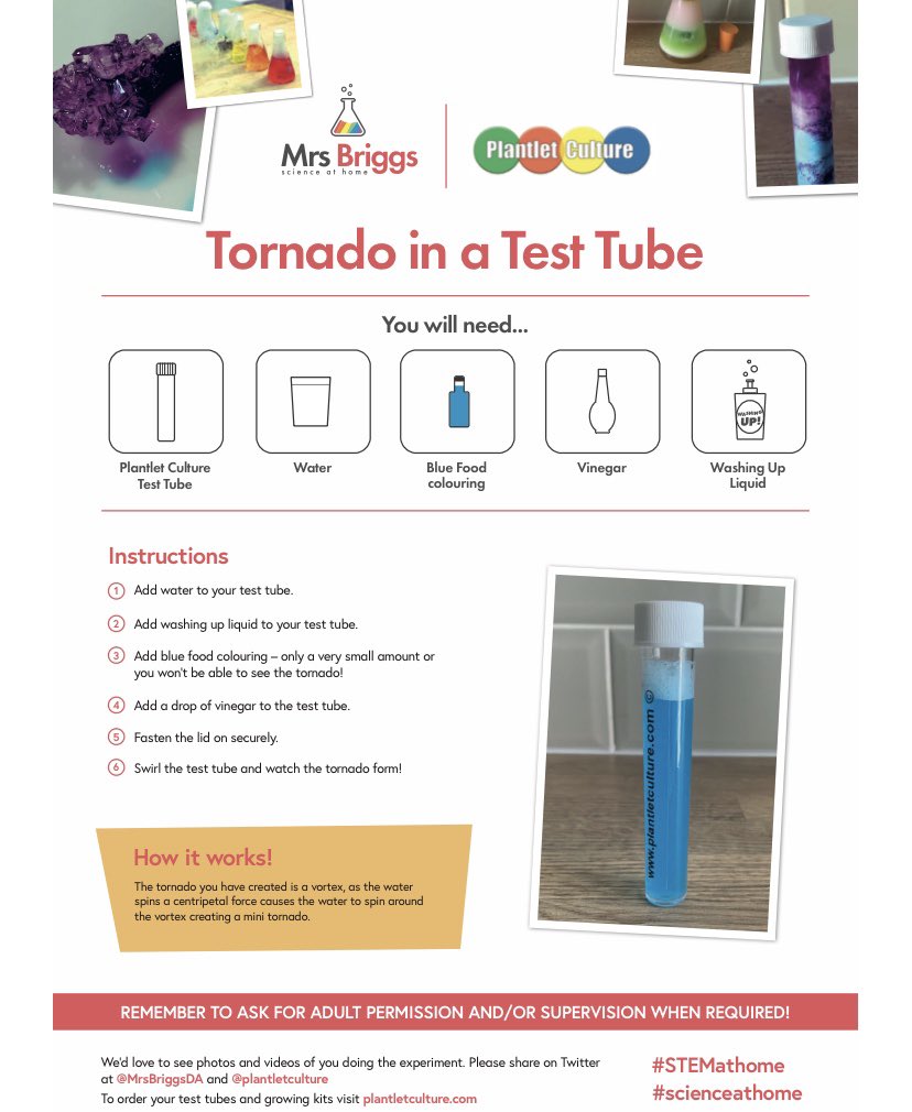 plantletculture's tweet image. Once you have potted your test tube🧪plant 🌱why not try –  A Tornado 🌪️ in a Test Tube – with your empty tube. Thank you @MrsBriggsDA for producing these fab fact sheets😀#FFBScience #STEM #distancelearning
