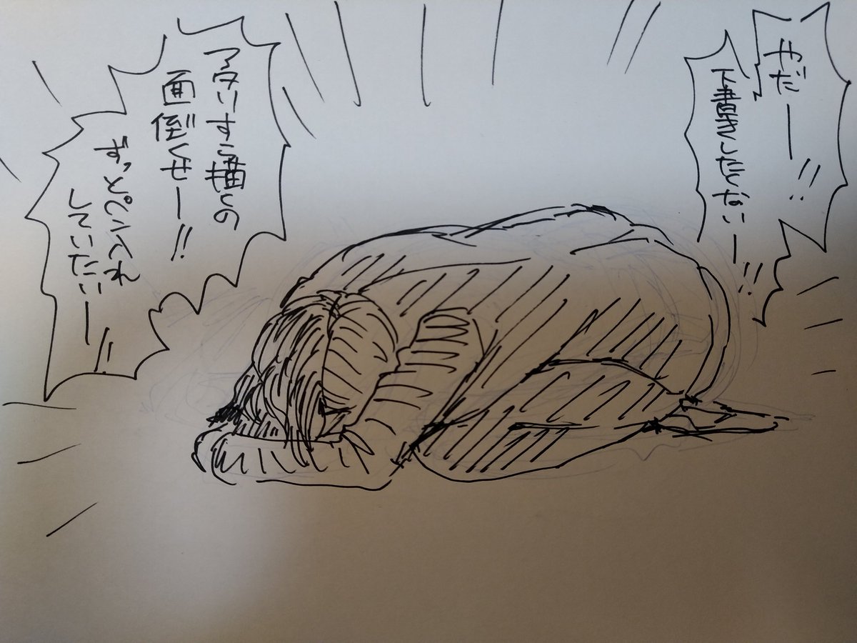 やだー!! 