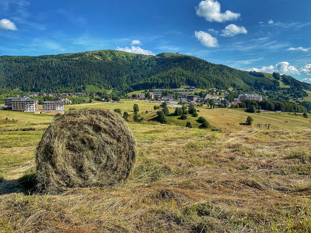 _Donovaly's tweet photo. 👉🏻 Ak nás na Donovaloch navštívite tieto dni, odmenou vám budú aj takéto fotogenické scenérie na Záhradišti 🌾☀️⛰

#donovaly #centralslovakia #thisisslovakia https://t.co/IeeHPZKUDF