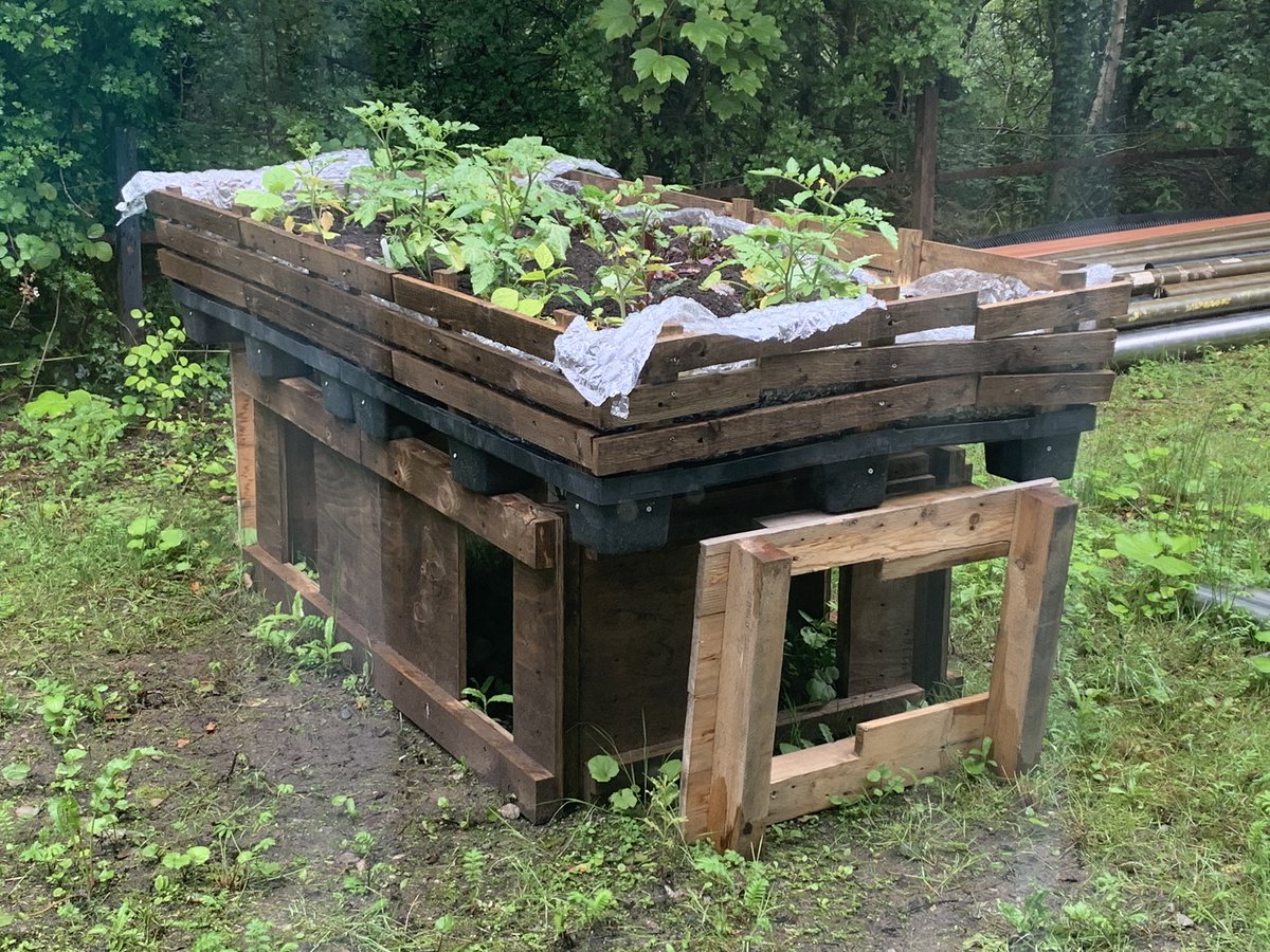 Ground Heat tweet media