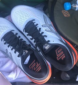 Oli Run log tweet media