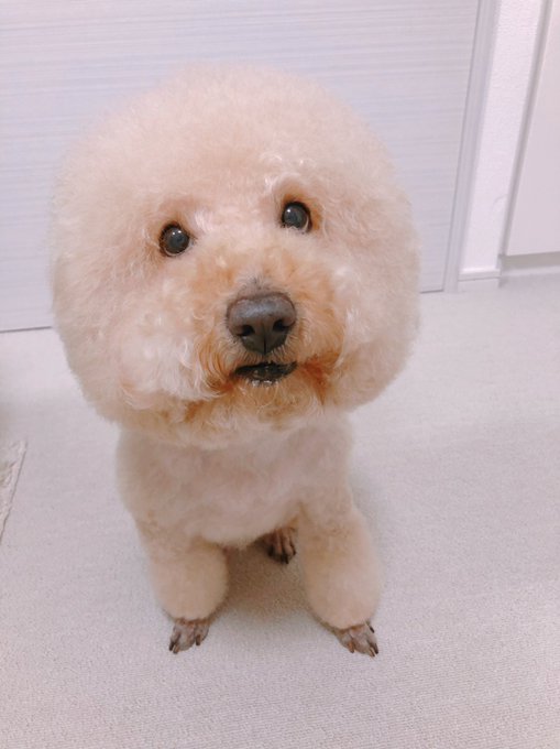 あーもー好き💗 https://t.co/N22wN4OSt4