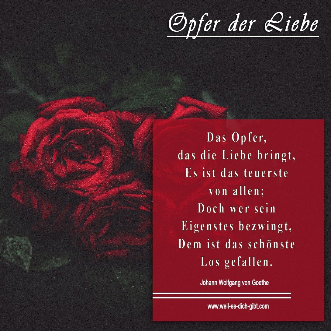 Weil Es Dich Gibt בטוויטר Wer Im Leben Einmal Wahrhaftig Liebe Erfahren Hat Der Wird Dieses Gedicht Verstehen Hier Kannst Du Das Gedicht Als Text Nachlesen Sowie Viele Andere Gedichte Auch