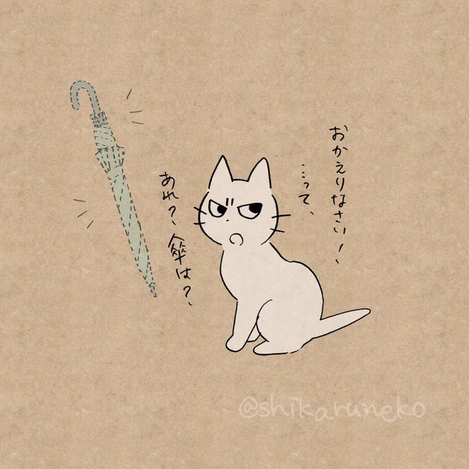 傘をよく失くす人を叱ってくれる猫 