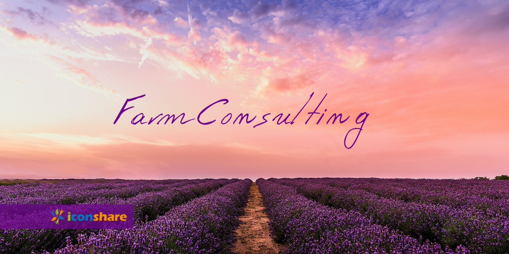 i_conshare's tweet photo. Farm Consultancy packages are tailor made to suit the uniqueness of the client’s goals and aspirations, the farm 
operation and the level of assistance and input required. https://t.co/Ac9z9JrWIj