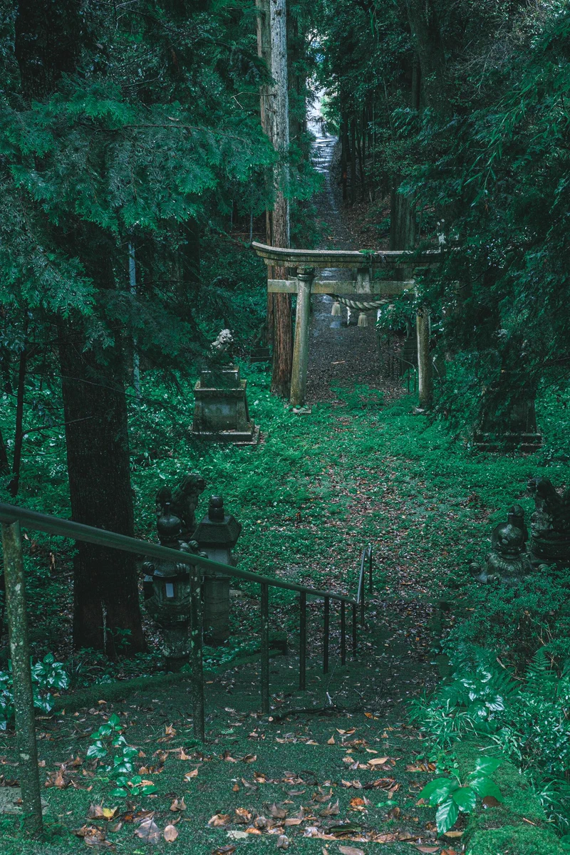 雨の日に鳥居をくぐると異世界へ…幻想的な雰囲気が別の世界へ繋がっていそうな福井県の稲荷神社！