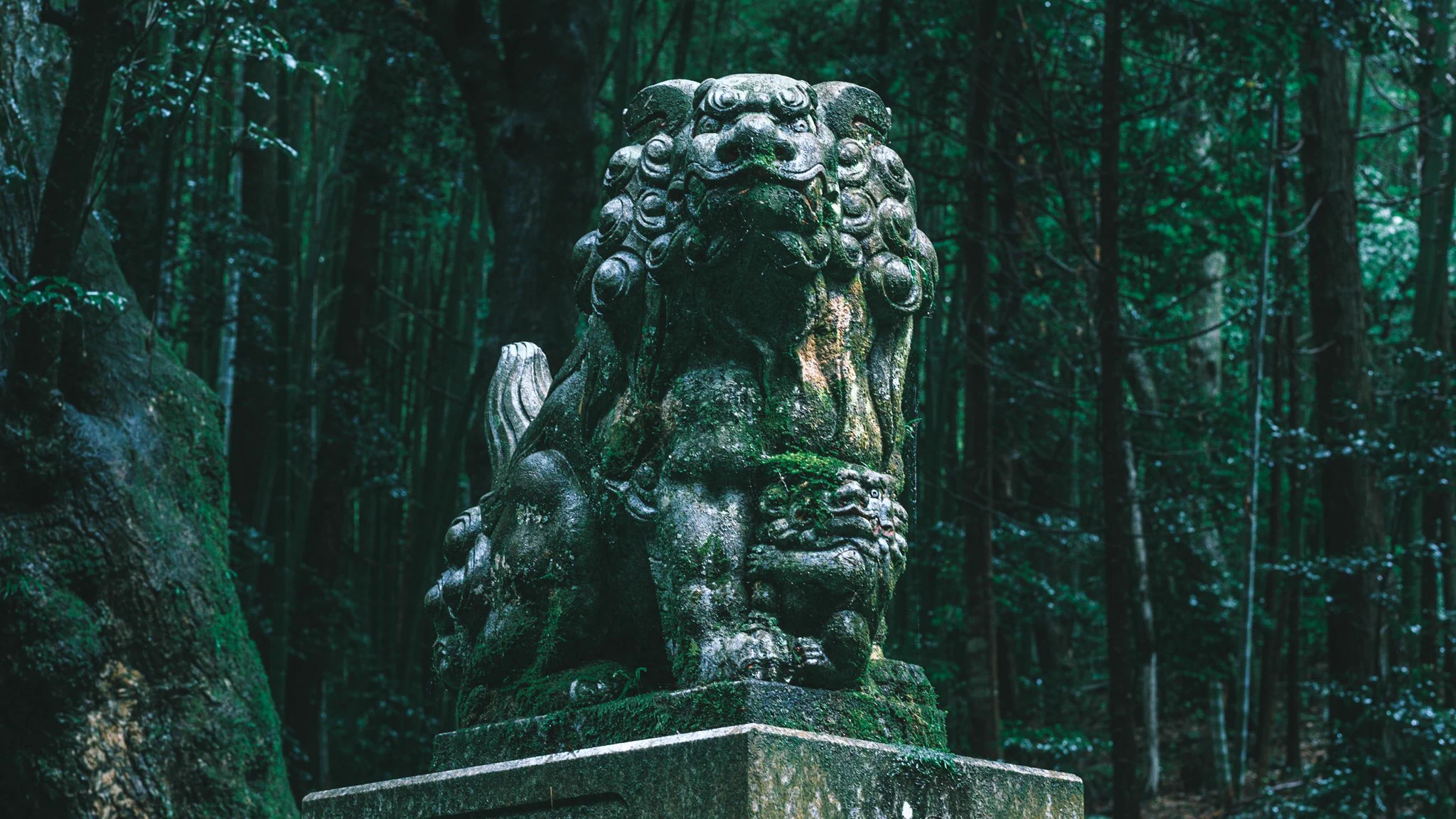 雨の日に鳥居をくぐると異世界へ…幻想的な雰囲気が別の世界へ繋がっていそうな福井県の稲荷神社！