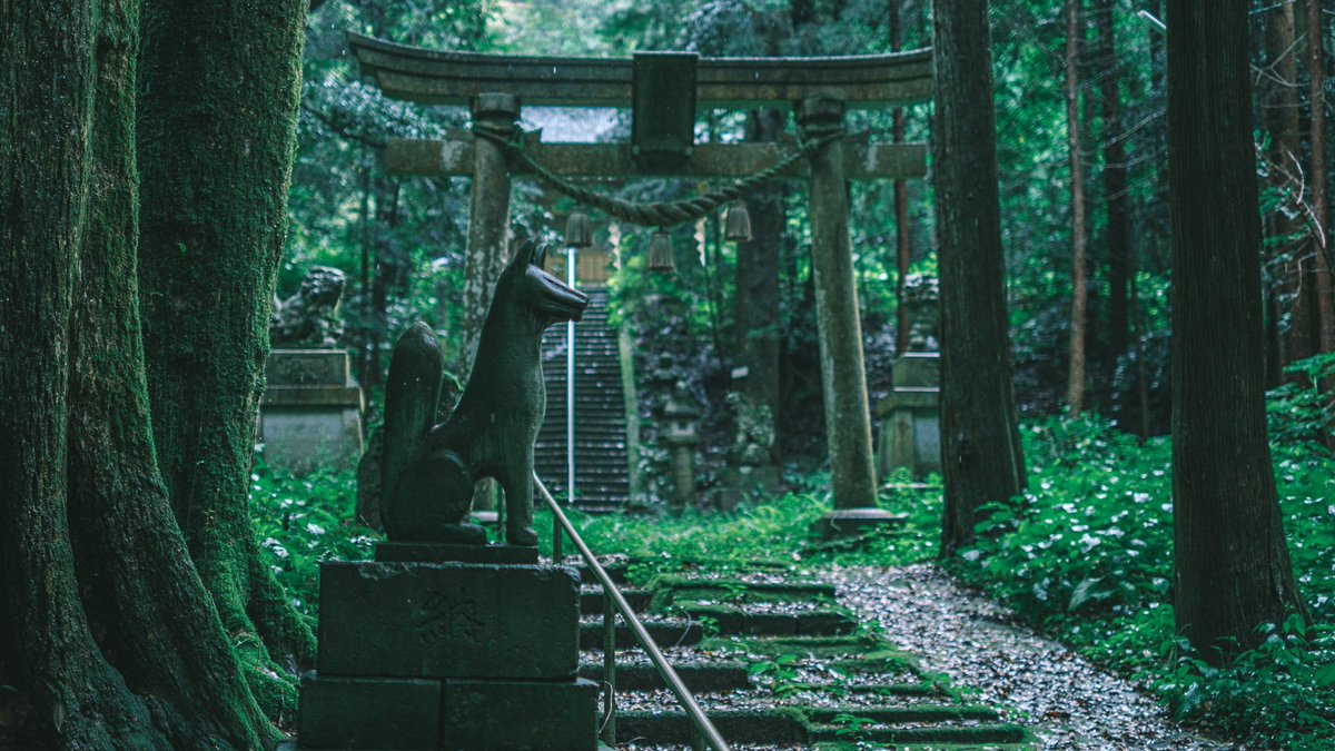 雨の日に鳥居をくぐると異世界へ 幻想的な雰囲気が別の世界へ繋がっていそうな福井県の稲荷神社 話題の画像プラス