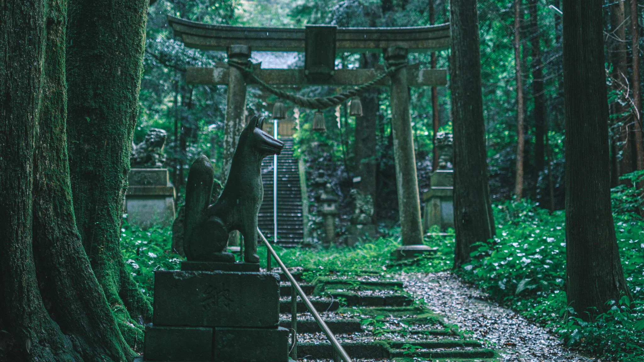 雨の日に鳥居をくぐると異世界へ…幻想的な雰囲気が別の世界へ繋がっていそうな福井県の稲荷神社！