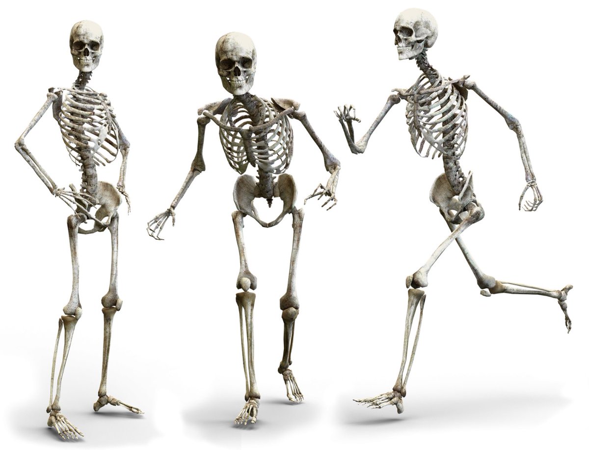 retinarisk's tweet photo. Read our latest blog about Diabetes and Bones - A Risky Business! https://t.co/TO4fPztgyC #Diabetes #DiabeticRetinopathy #RetinaRisk #BoneFracture https://t.co/ZeglUw4qwE
