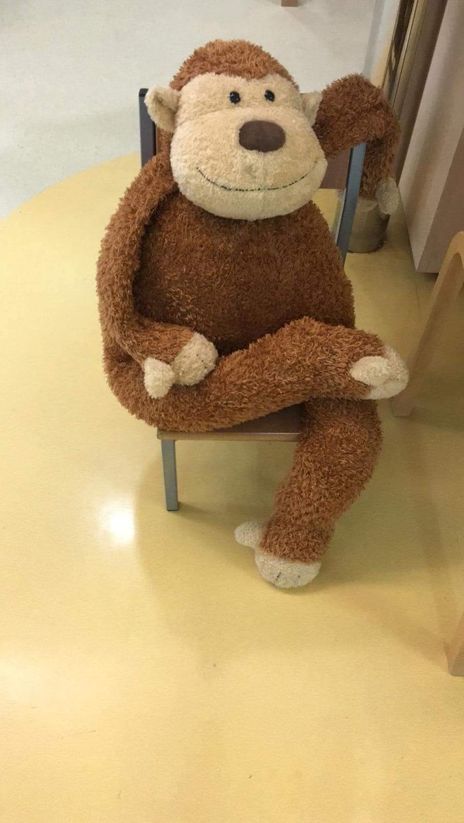 It’s a sad day at work our resident Marvin the monkey has gone missing 😢the children love meeting Marvin and he was part of the level 7 team for 12 years and has been discontinued by the manufacturer 😥😥😥
If anyone has one they would be willing to donate we would be grateful