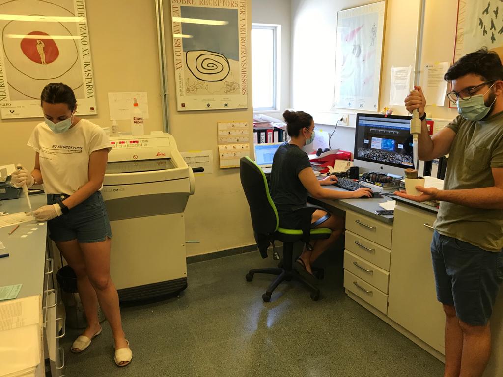 CorviSandra's tweet photo. Work at congress with my lab mates @elena_herndz and @BisHumbert 🧠👩‍🔬🧑‍🔬 #FENSathome #FENS2020 #FENSatlab @FENSorg https://t.co/ks4H3HH1TR