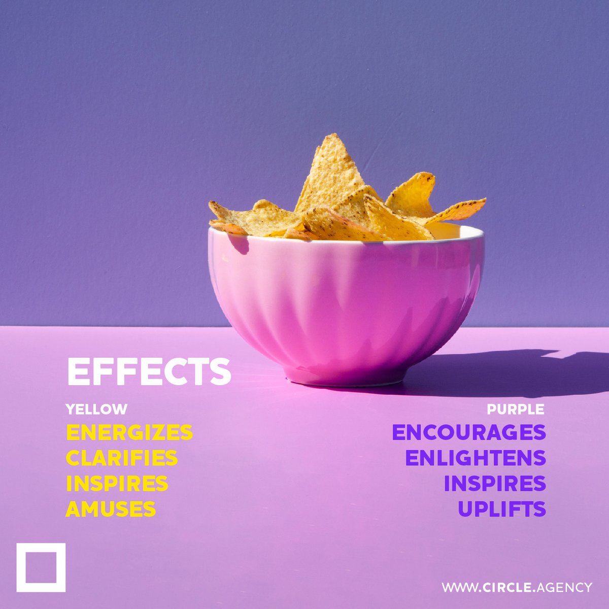 CircleChannels's tweet photo. Check out these cool info about #yellow and #purple colors symbolism, effects, positive & negative traits and much more...
.
#circle #circlevisualcommunication #designagency #digitalagency https://t.co/EQ30djYeES