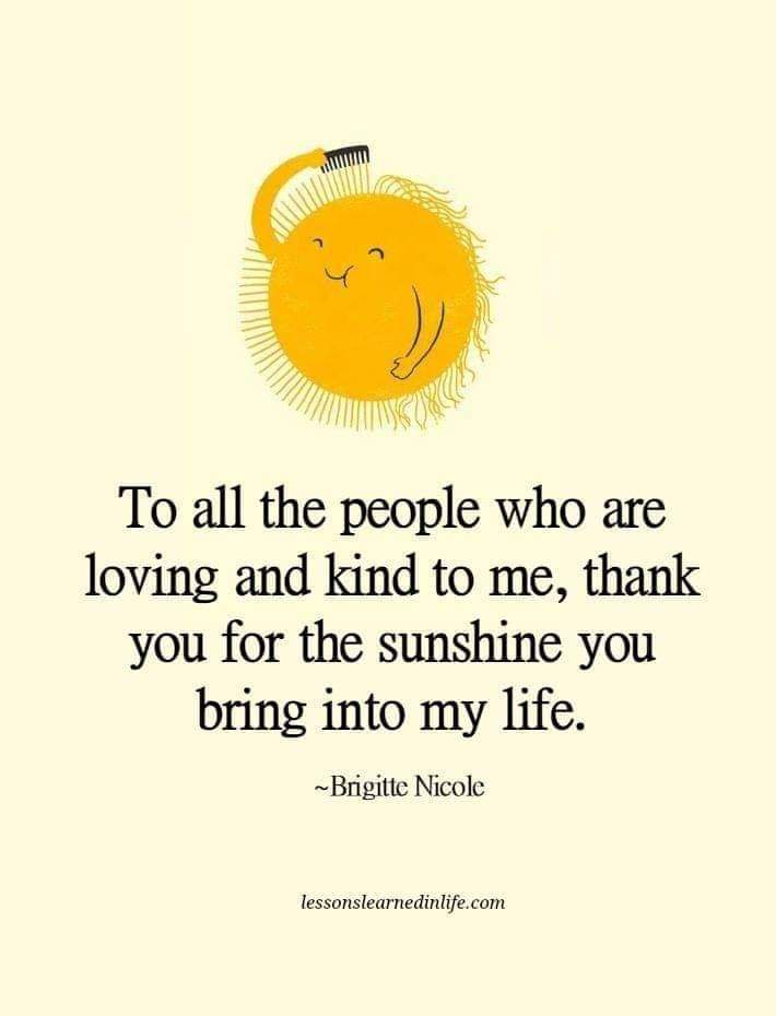 northern monkey tweet media