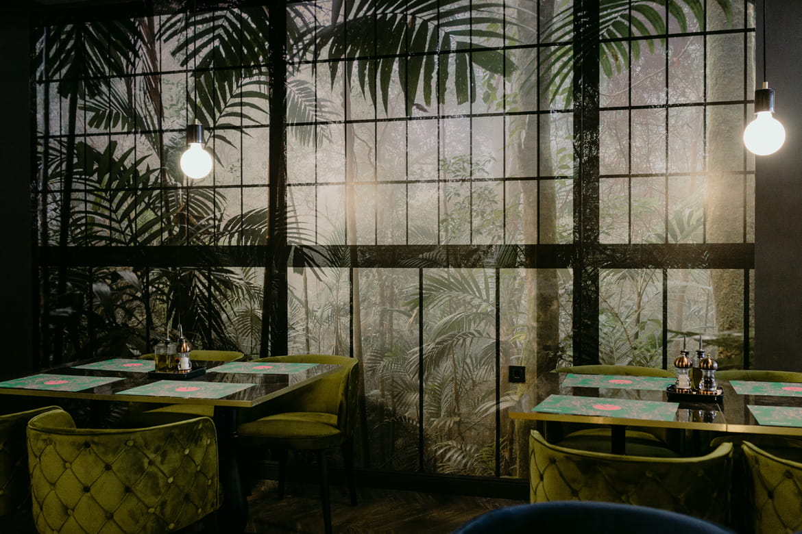 Studio 33 tweet media