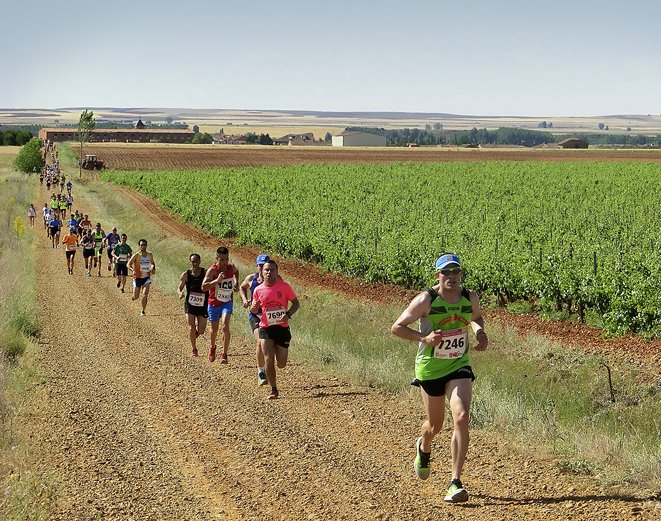 CopaCarreras's tweet photo. Siguen abiertas las inscripciones a la PEREGRINO ENTRECEPAS GORDONZELLO. Existen dos modalidades andarín (infantil/adulto) y carrera (puntuable para la Copa Diputación). Distancia: 10,7 km. 
18 h Entrega dorsales
20 h Salida Andarines
21:15 Salida Carreras
https://t.co/xo1710w8eP https://t.co/RjJehwn4RO
