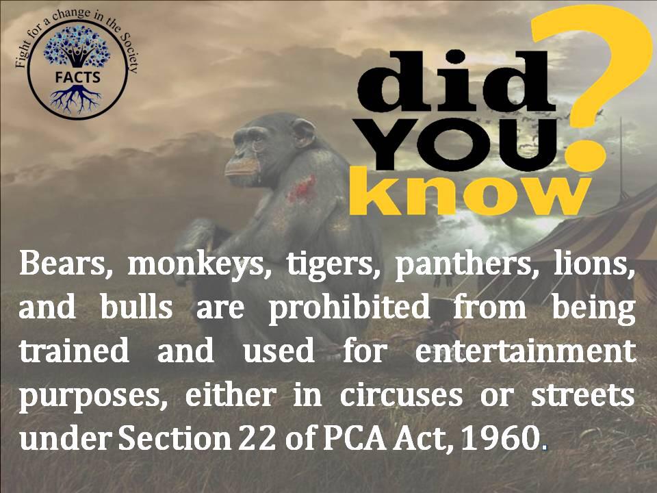 Fight_forchange's tweet photo. Respect the Nature, Respect the Animal Rights.
Kindly share these law points with your contacts to make people understand that animals too have rights and we need to respect them.
Read the full article on Animal Rights here: https://t.co/cxhwmmV0Vd https://t.co/UHmdiI7Hsm