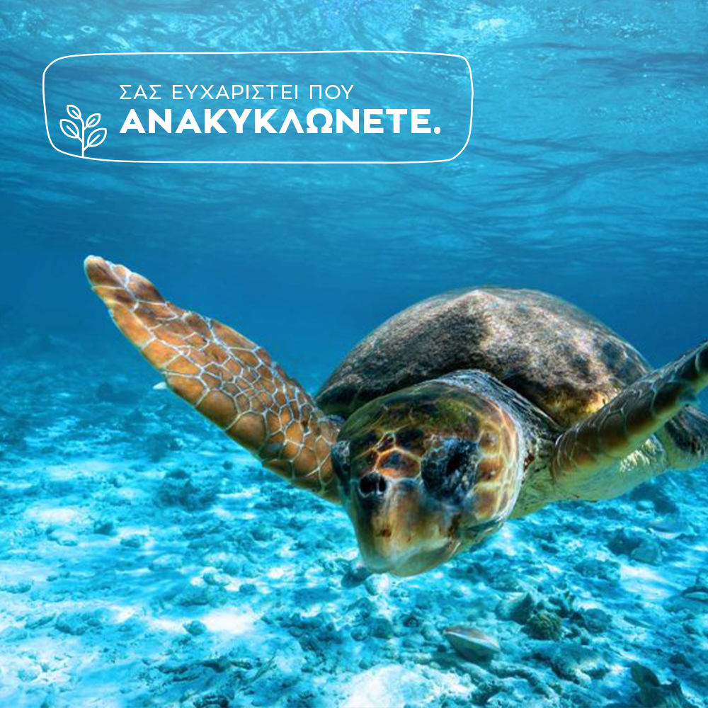 cyclefistartup's tweet photo. Προστατεύουμε το περιβάλλον και ανακυκλώνουμε καθημερινά 🌊 🌍
Όχι μόνο για εμάς.

Κάντε τώρα την εγγραφή σας στη @cyclefi (https://t.co/PShdwrtCSE), την εφαρμογή που επιβραβεύει τον "πράσινο" τρόπο ζωής.♻️
#recycle #rewarding #sea #protecttheocean #savetheplanet #ecofriendly https://t.co/2vkti0sOk9