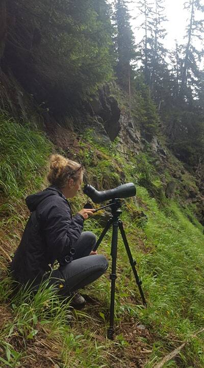ELE_ETHWSL's tweet photo. Did you know we had a project that investigates the natal dispersal of alpine golden eagles? @julia_hatzl is in the field together with @Vogelwarte_scie at the moment, tagging juvenile eagles and identifying key factors in dispersal https://t.co/EqpvebGgkJ https://t.co/MFoOnMXSvh