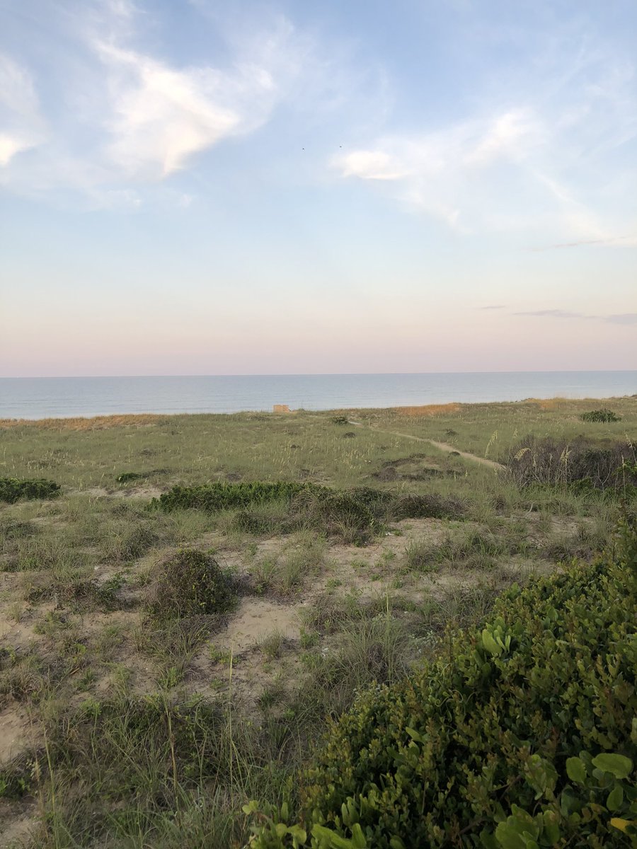 Tony Wilson tweet media