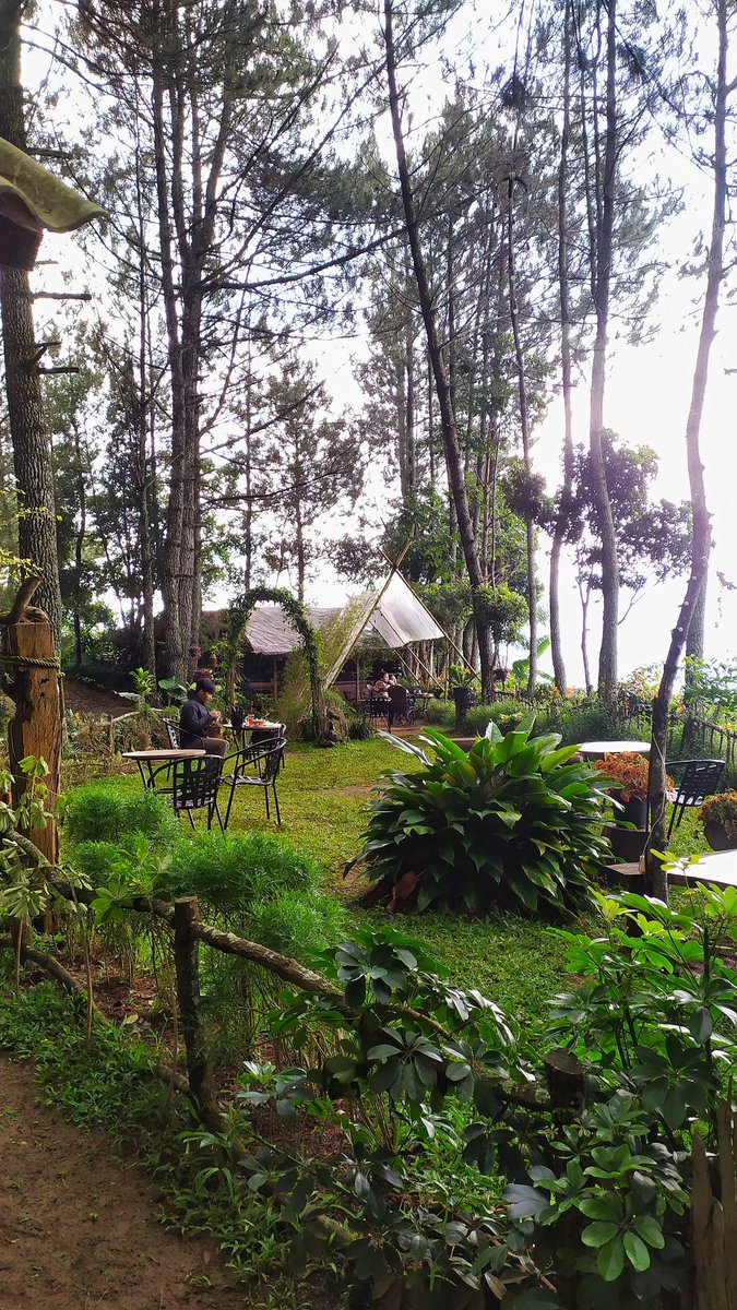sapta_strs's tweet photo. Dear teman twitter, jadi aku buka cafe outdoor nih di kebun pinus, teduh banget pasti. Letaknya di Jl. bukit Maribaya. Datang ya, bisa cek detail di instagram @ astacala_space #cafe #kedai #kopi #restoran #bandung #maribaya #lembang https://t.co/oIT9yhZXXj