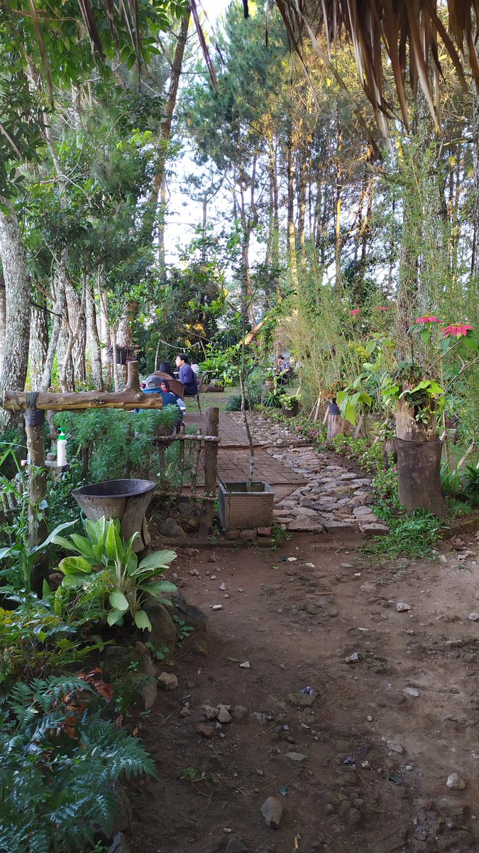 sapta_strs's tweet photo. Dear teman twitter, jadi aku buka cafe outdoor nih di kebun pinus, teduh banget pasti. Letaknya di Jl. bukit Maribaya. Datang ya, bisa cek detail di instagram @ astacala_space #cafe #kedai #kopi #restoran #bandung #maribaya #lembang https://t.co/oIT9yhZXXj