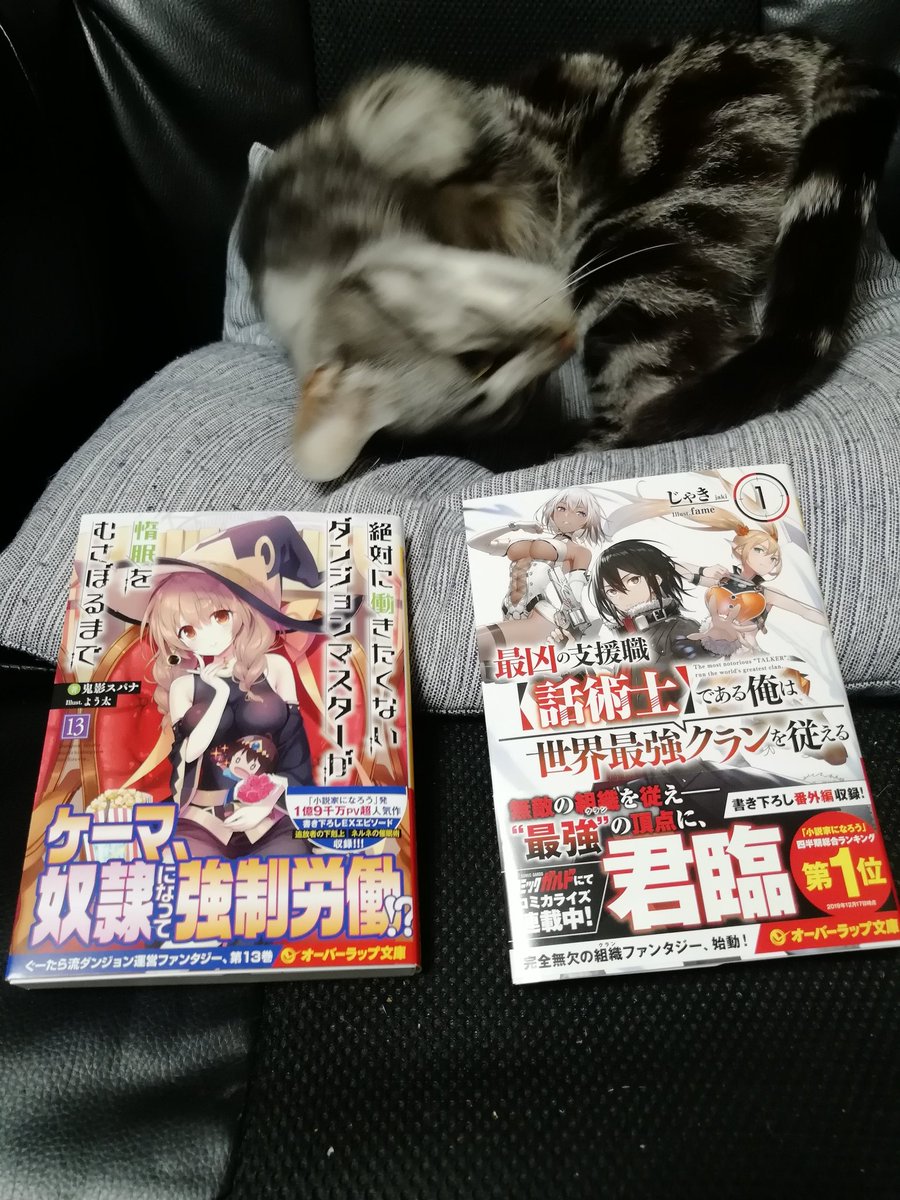 りょうすけ 小説家になろう 絶対に働きたくないダンジョンマスターが惰眠をむさぼるまで13巻 最凶の支援職 話術士 である俺は世界最強クランを従える1巻 二作とも大好き 鬼影スパナ先生 じゃき先生 ありがとうございます 今日は配信は