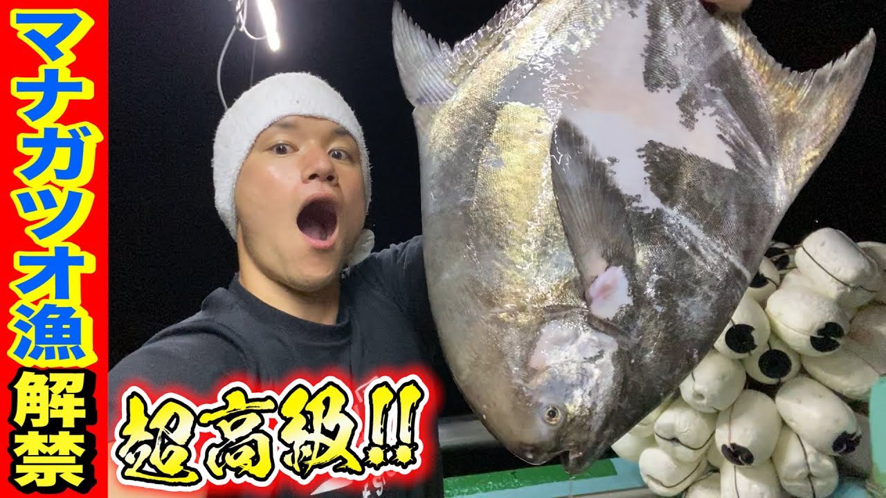 小豆島の漁師 はまゆう すぐに死ぬ 生かして持って帰れない超高級魚 マナガツオ の捕獲と死後直後の味とは T Co A5egulc8kc T Co N87b7ed8u4 Twitter