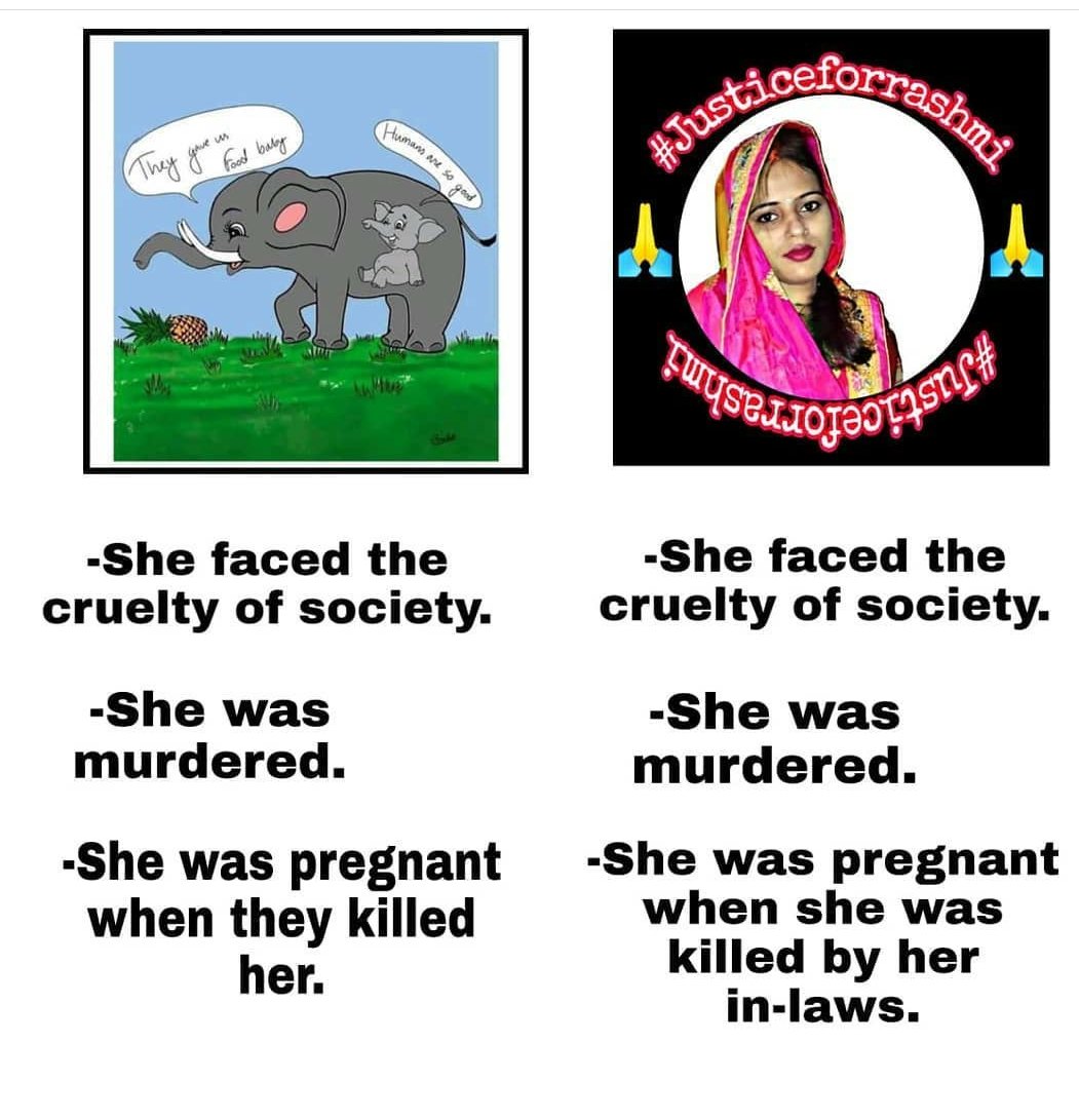 #justicforrashmi

<a href="/rawkiss_byarwa/">arwa hussain</a> <a href="/ndtv/">NDTV</a> <a href="/PMOIndia/">PMO India</a> <a href="/narendramodi/">Narendra Modi</a>