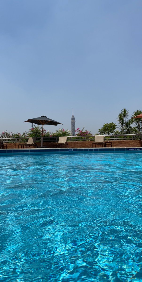 #يوميات_ست_مصريه