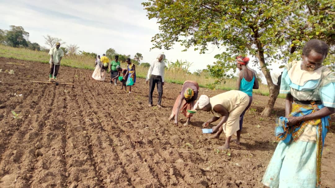 mlapio's tweet photo. @wougnet @CTAflash, which closes this year, leaves behind a legacy of unique experiences  &amp; knowledge on Digital Technology to empower rural women farmers access  information due to inadequate  extension service delivery #Uganda  #CTALegacy https://t.co/6eBv1X7ewr