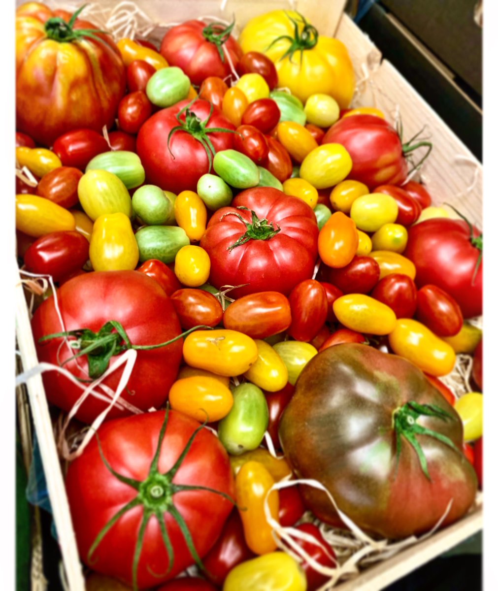 ʜᴇʀɪᴛᴀɢᴇ ᴛᴏᴍᴀᴛᴏᴇs⠀
⠀
#Tomatoes  #Tomato  #Norwich  #Norfolk  #Delivery #Summer