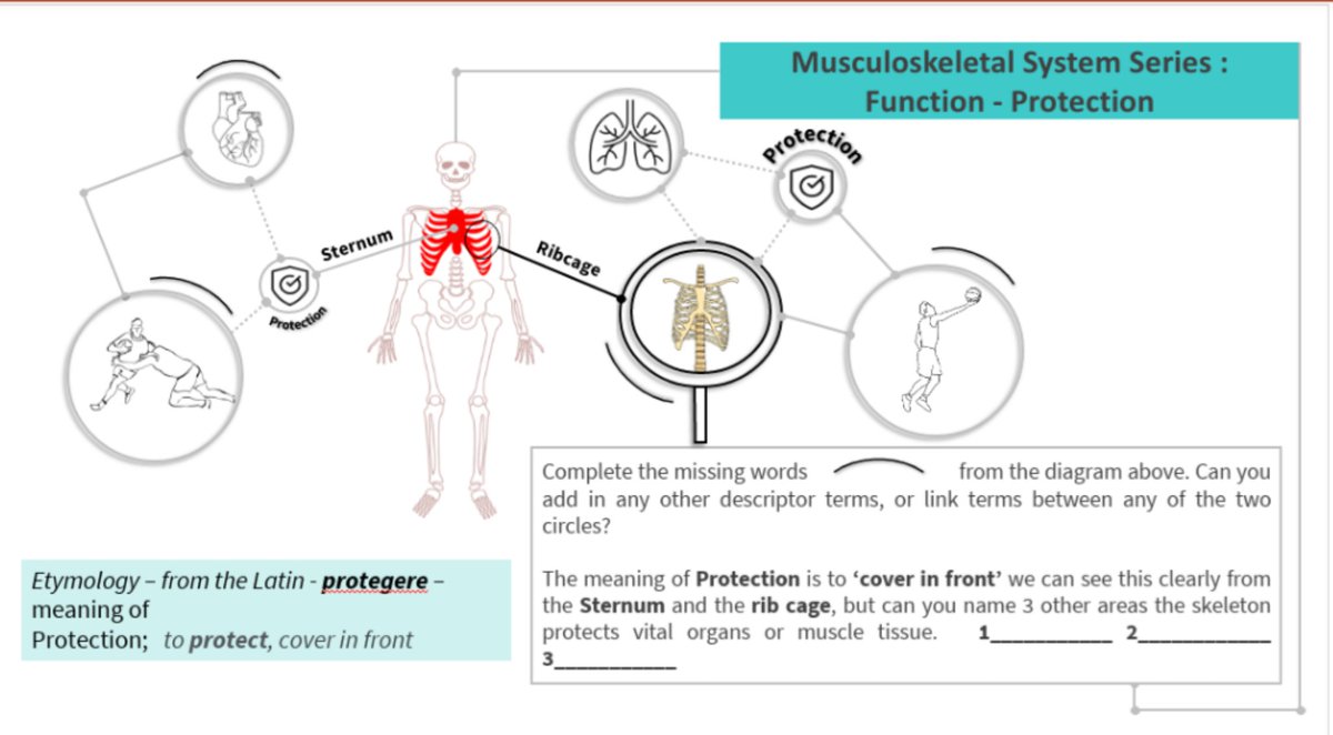zeph_bennett's tweet image. Now have 149 resources to download on my shared drive, mixture of illustrations to use in worksheets, infographic posters, work books, power points and guides. All completely editable. 👇 drive.google.com/drive/folders/… please share if you know someone who needs access #EduPE