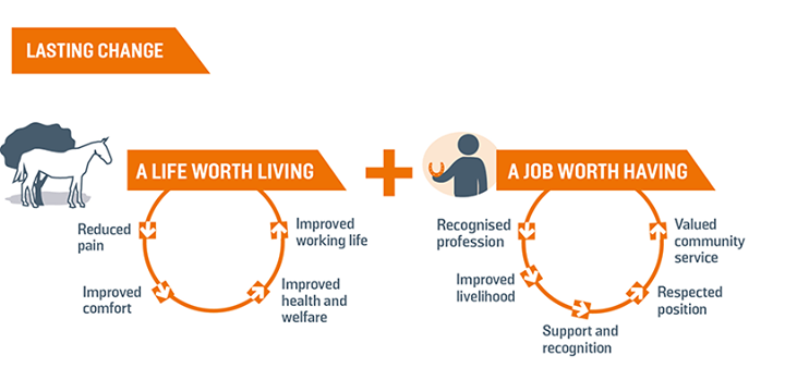 Brooke 🐴🧡 tweet media