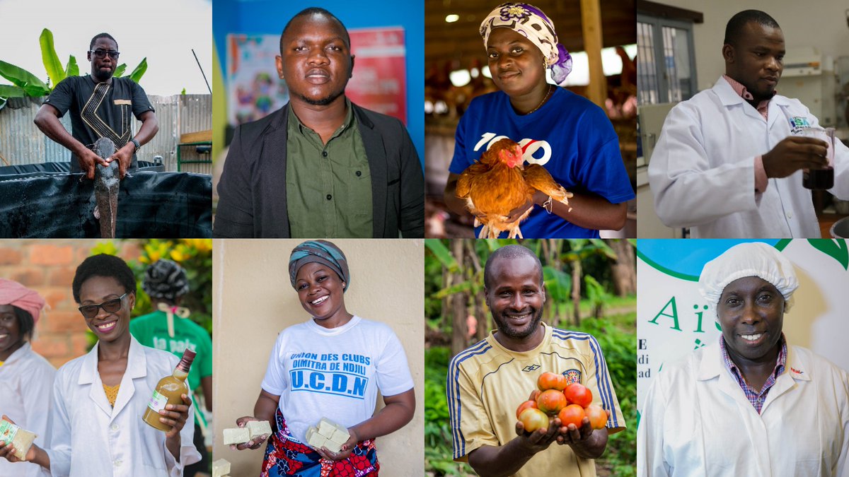 FAOAfrica's tweet image. L'agriculture offre des opportunités pour renforcer la résilience des jeunes.

Découvrez ces jeunes qui ont choisi l’agriculture pour développer leurs compétences &amp;amp; révolutionnent le monde rural en Afrique centrale.

👉bit.ly/2Zua8XJ

#WorldYouthSkillsDay
#WYSD2020