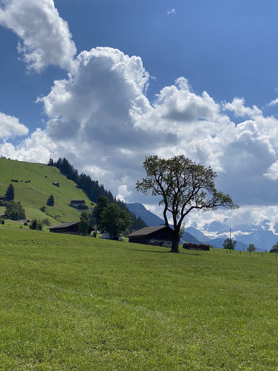 UrsulaZybach's tweet photo. Besuch bei der #spitex #obersimmental mit blick auf den #lenker #wildstrubel
Eindrücklich: die schöne #bergwelt und die grossen #distanzen!
#versorgungspflicht #schönerkantonbern https://t.co/j8tceHXa5L