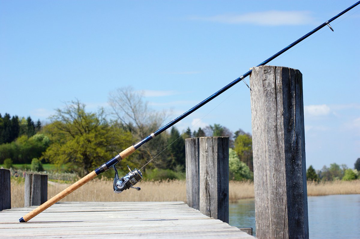 🎣 Have you sold a #FishingRod online and now you're wondering how to post it? Perhaps you're going on a #FishingHoliday and want to send your rod ahead? Find out how to post a fishing rod here bit.ly/3bBFU9o