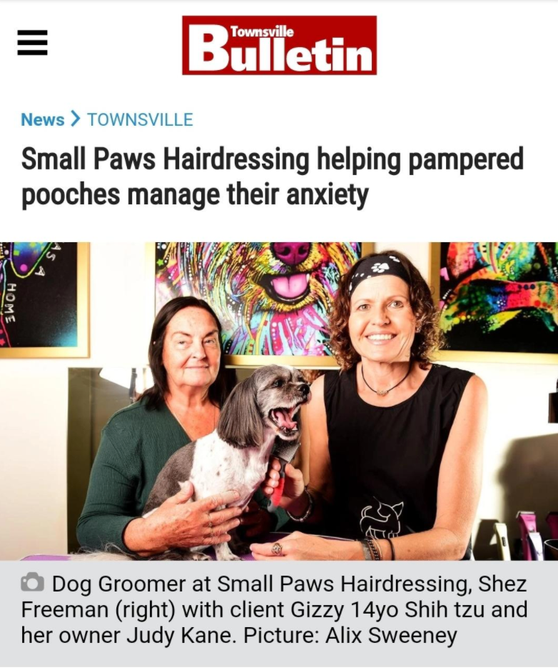 RelaxMyDog tweet media