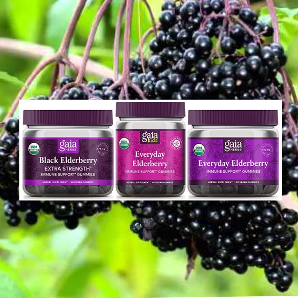 GeorgetownMarkt's tweet photo. NEW! Organic #Gaia Elderberry Gummies for Adults and Kids! Packed with Elderberry extract, these are a great choice for immune support! On #Sale $11.99-$21.59 #vegan #glutenfree #dairyfree #sugarfree #soyfree #yummy #shopsmall #aplacetoshop https://t.co/GsmYjYqERS