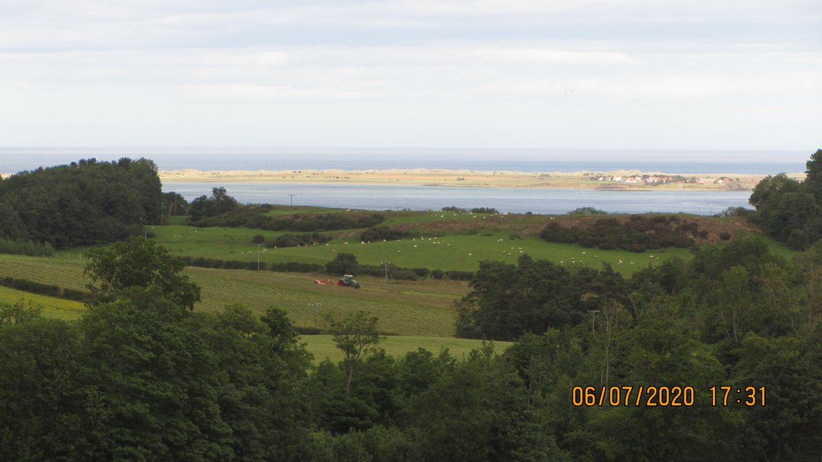 Day 1) Belford to Wooler:After lighting candles in St Mary's church for departed friends, I followed St Cuthbert's Way with views over Lindisfarne. Fields were ripe with crops; verges drooped with foxgloves; a yellowhammer sang languorously in a Hawthorne.