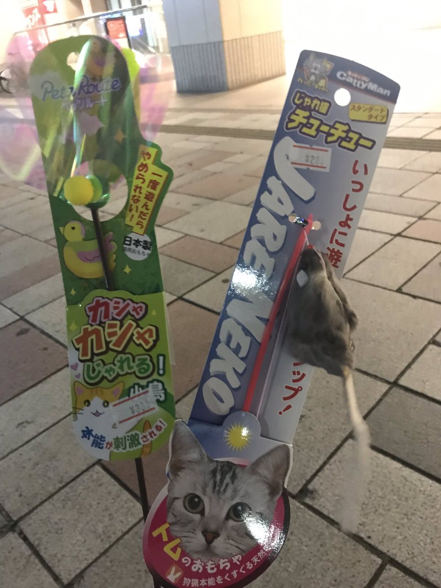 花だん のyahoo 検索 リアルタイム Twitter ツイッター をリアルタイム検索 花だん のyahoo 検索 リアルタイム Twitter ツイッター をリアルタイム検索