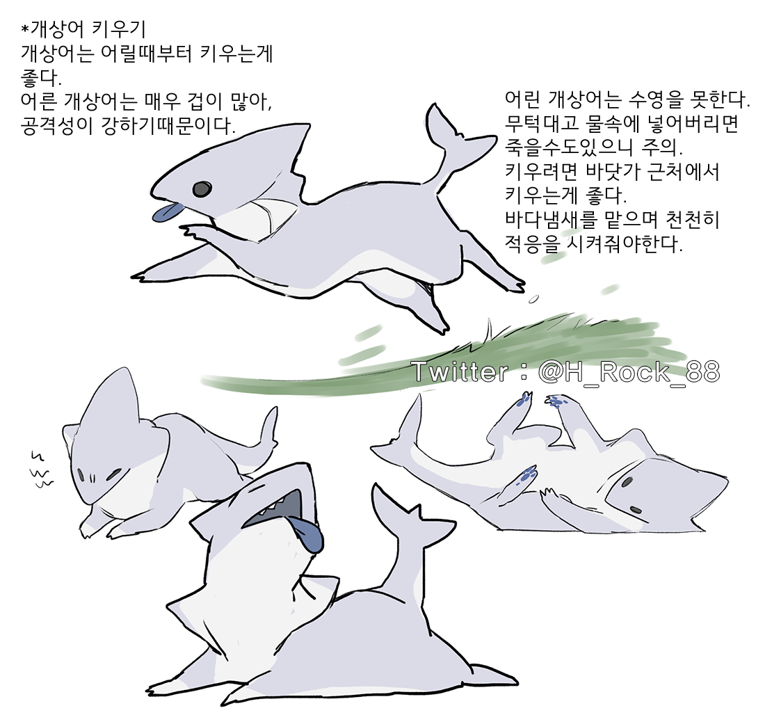 개상어 