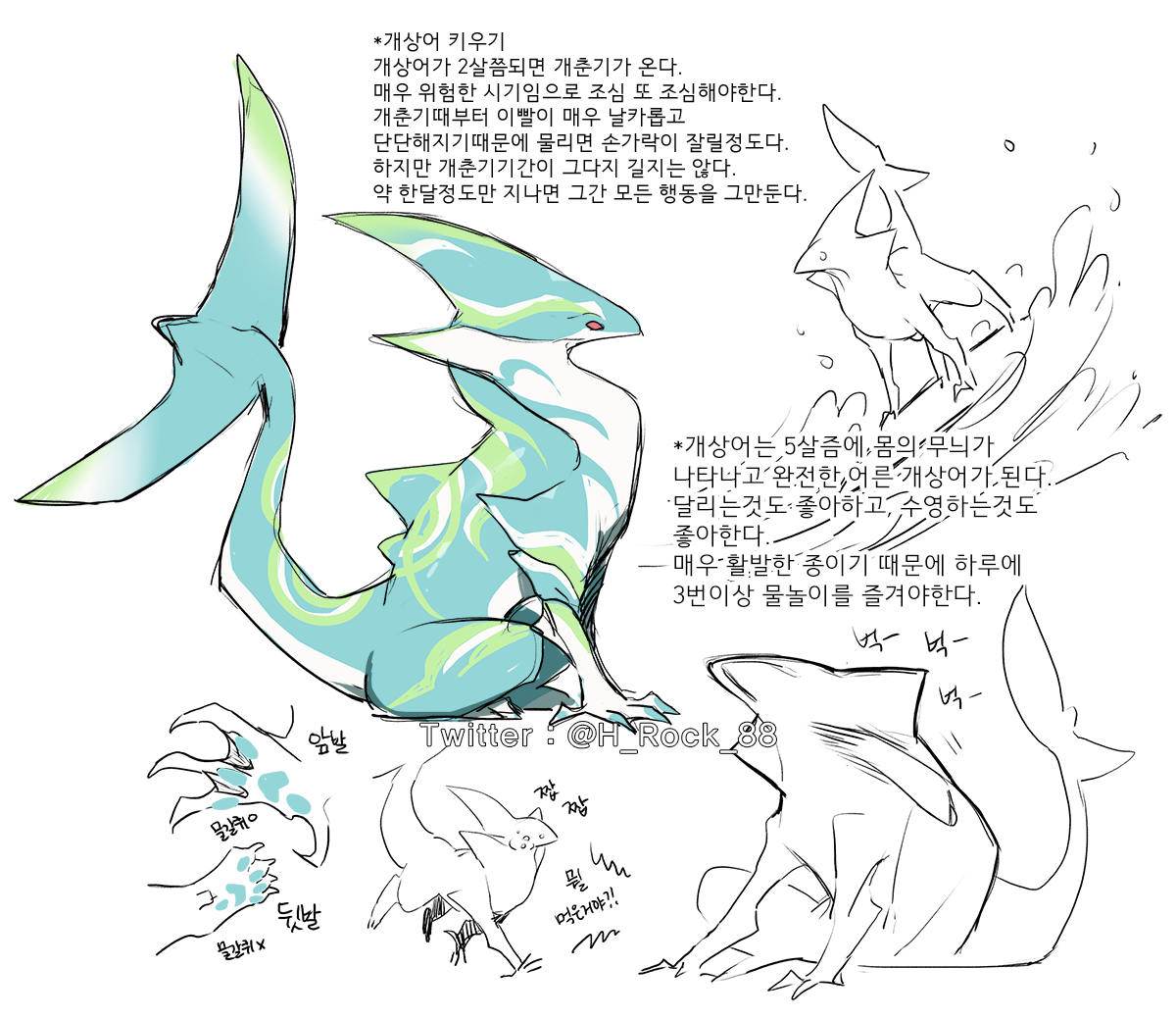 개상어 
