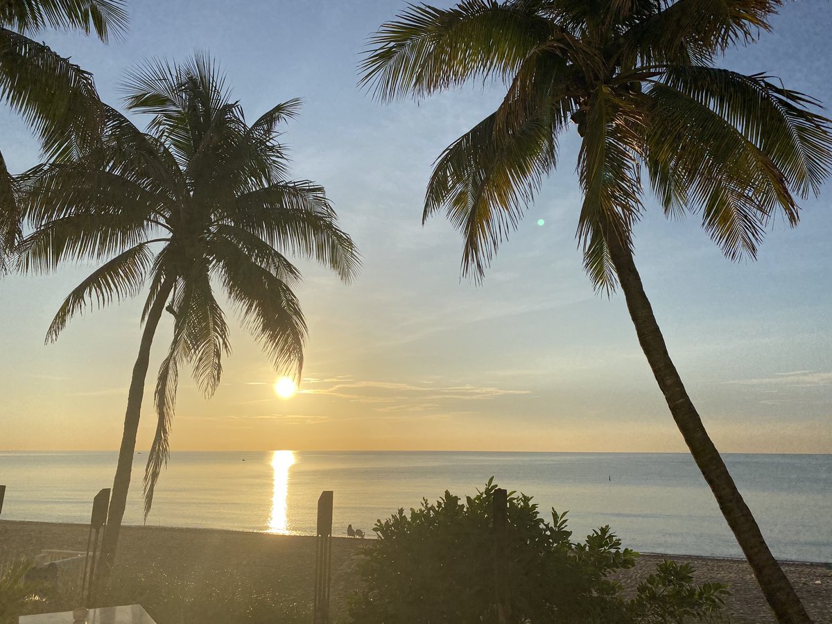 DoctorPickleFLA's tweet photo. COVID-sunrise- what's next- https://t.co/eVSyt7MaXY
